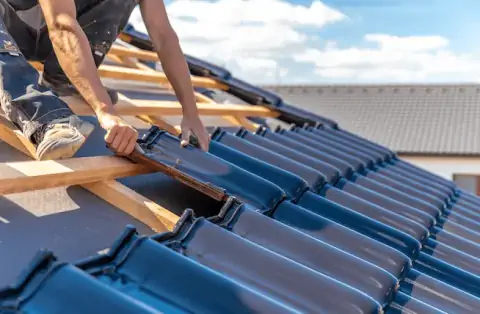 Couverture - La Nouaille