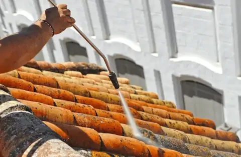 Nettoyage de toitures - La Nouaille